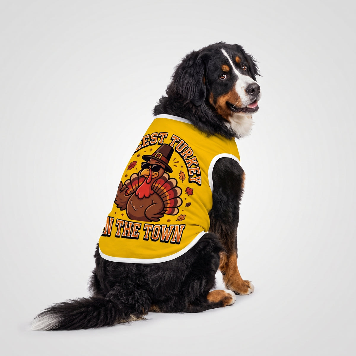 Coolest Turkey in the Town Big Dog Shirt