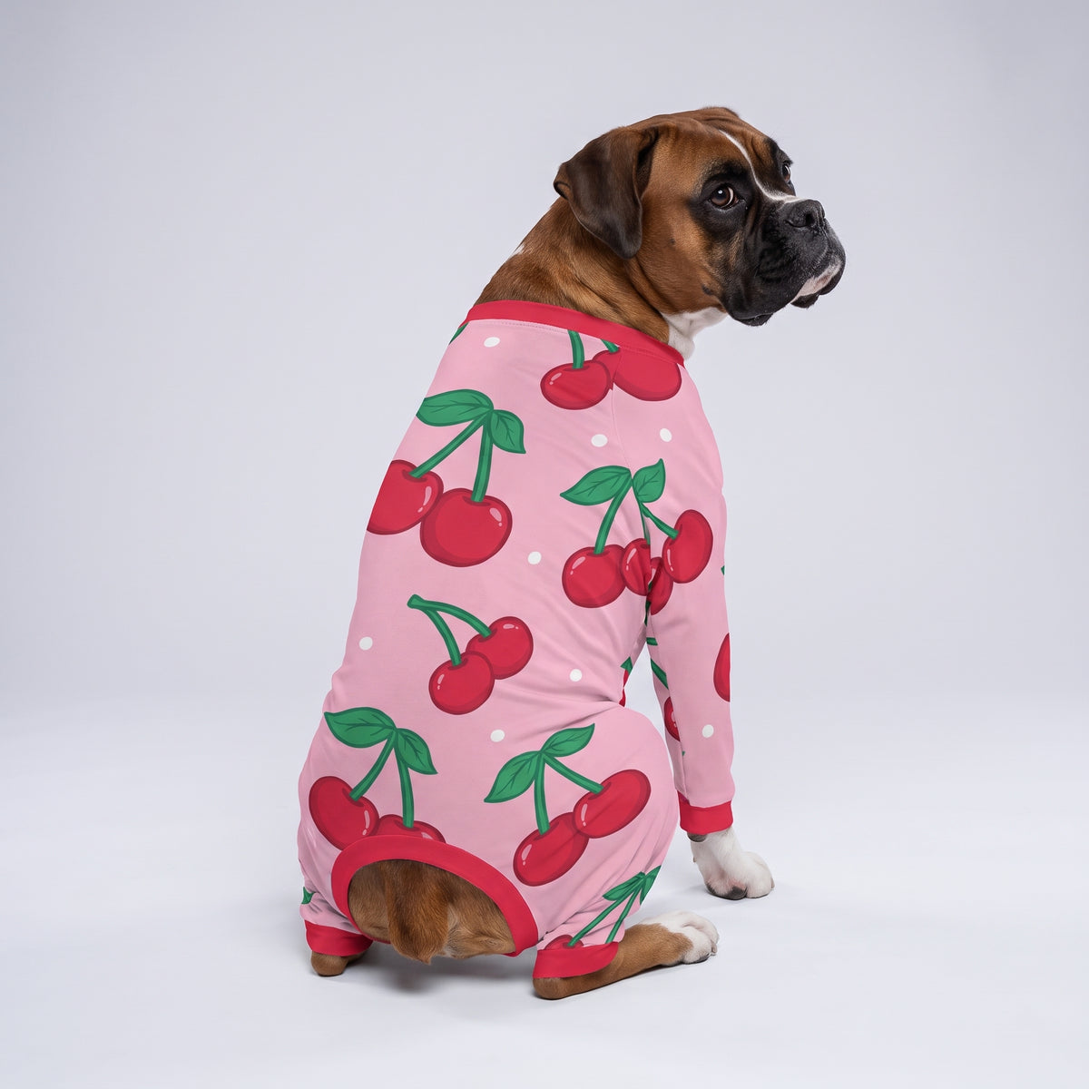 Sweet Cherry Girl Dog Pajamas for Small and Big Dogs