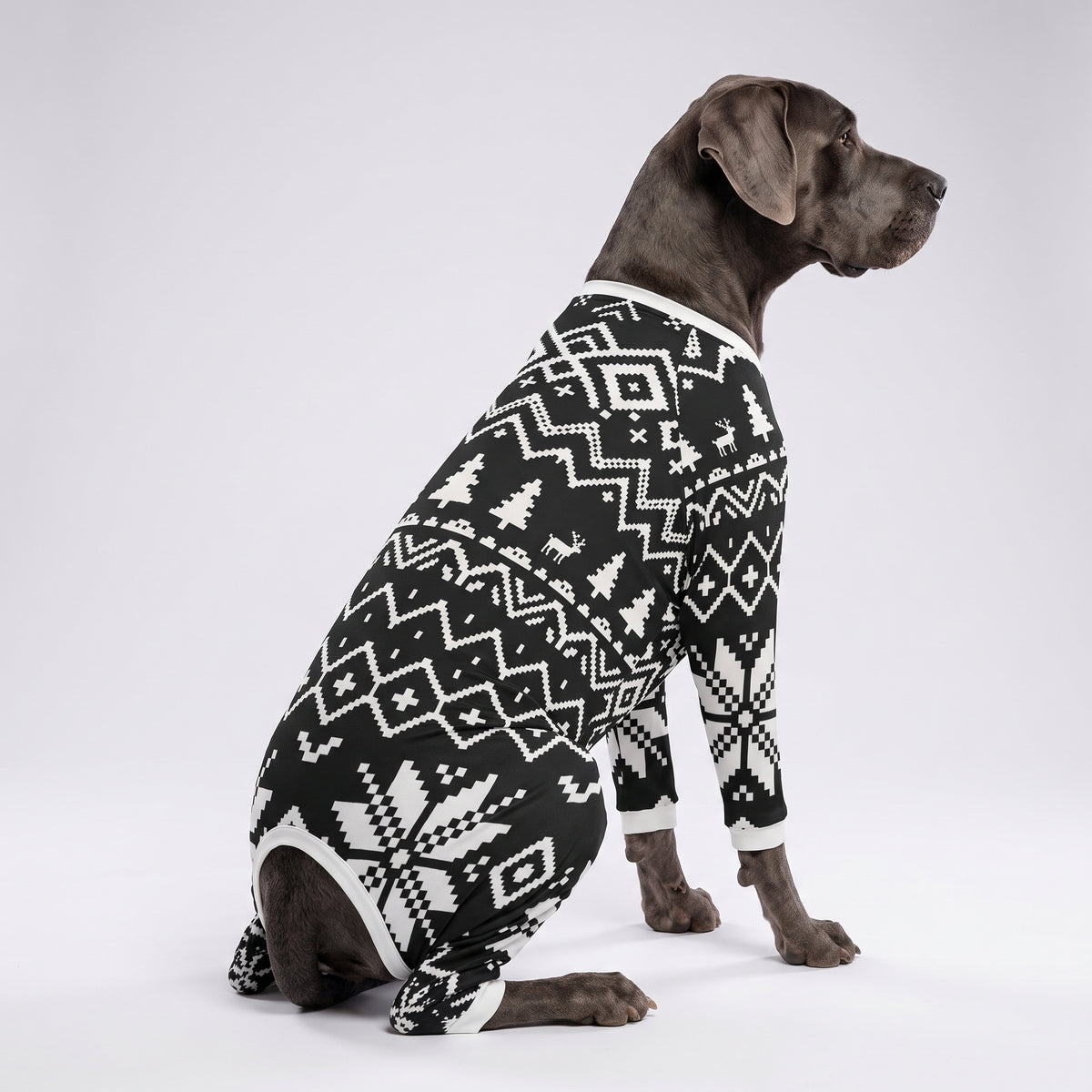 Holiday Snowflake Boy Dog Pajamas for Small and Big Dogs
