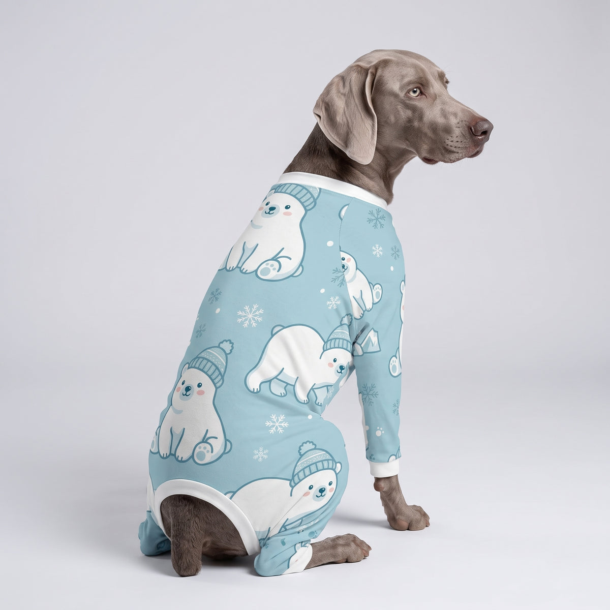 Winter Polar Bear Boy Dog Pajamas for Small and Big Dogs