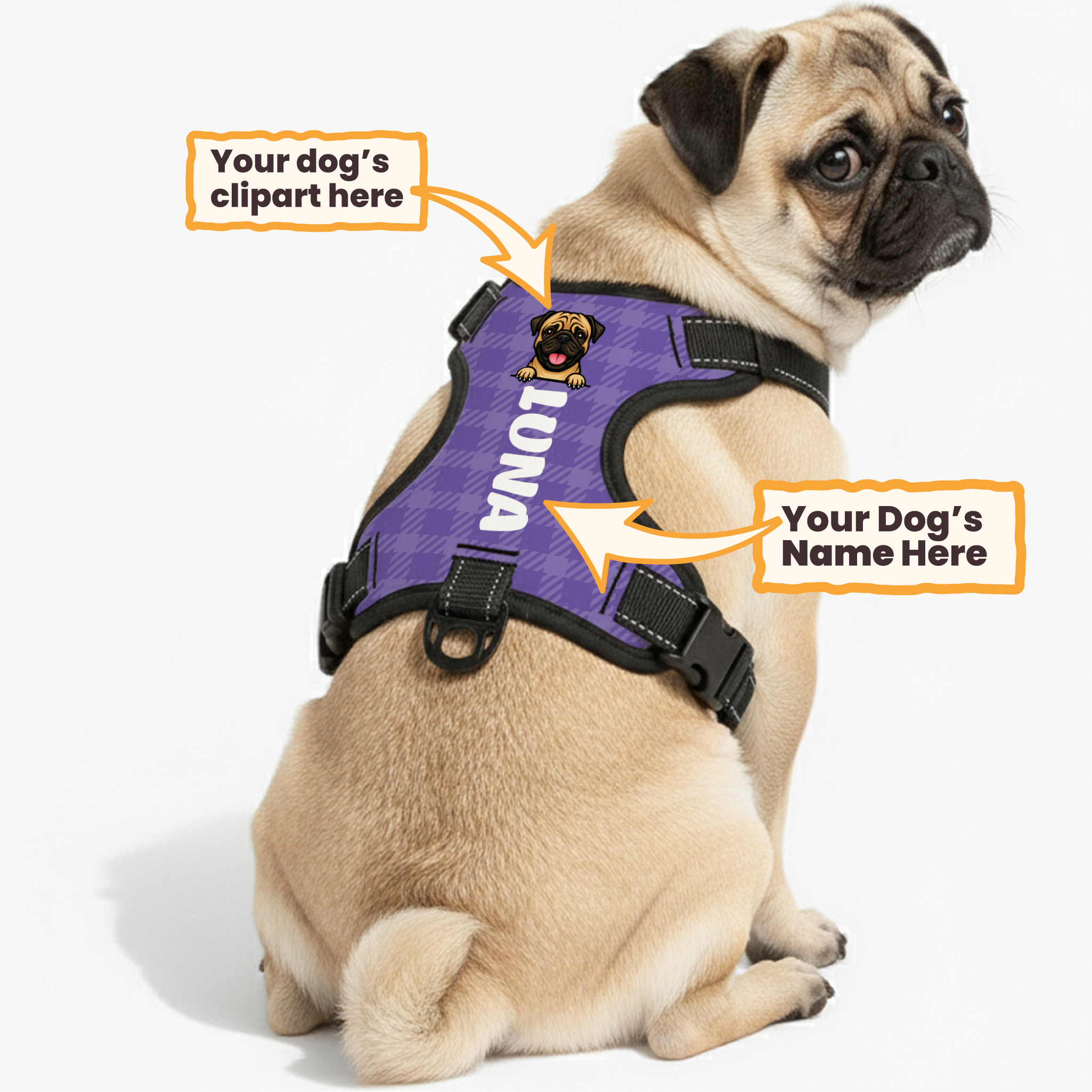 Chase - Custom Dog harness