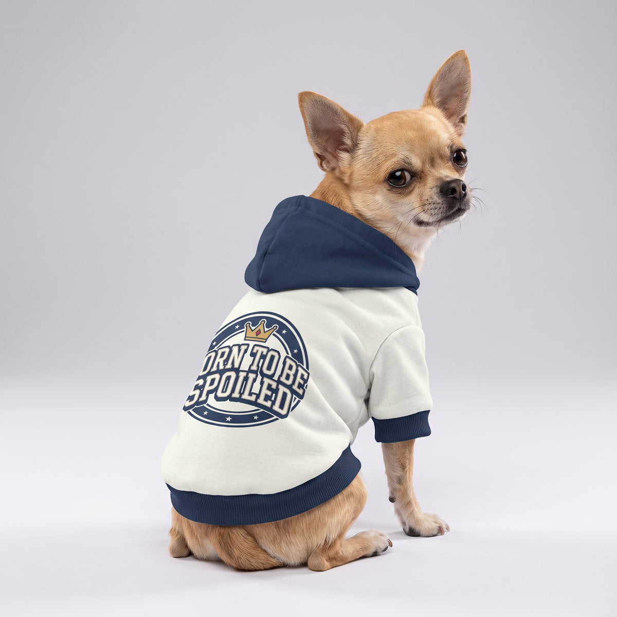Born to Be Spoiled Matching Dog Hoodie for Small and Big Dogs