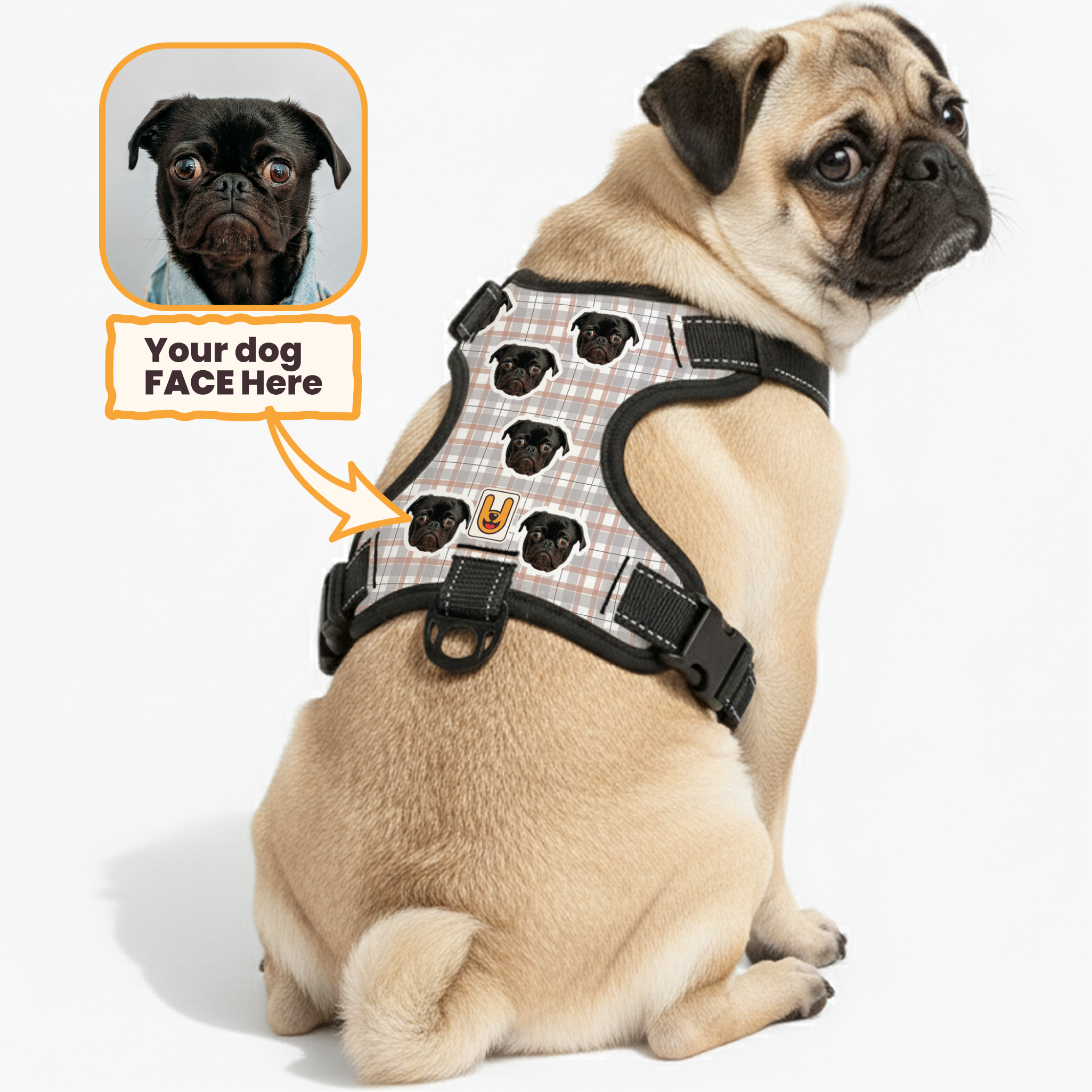 Chili - Custom Dog harness