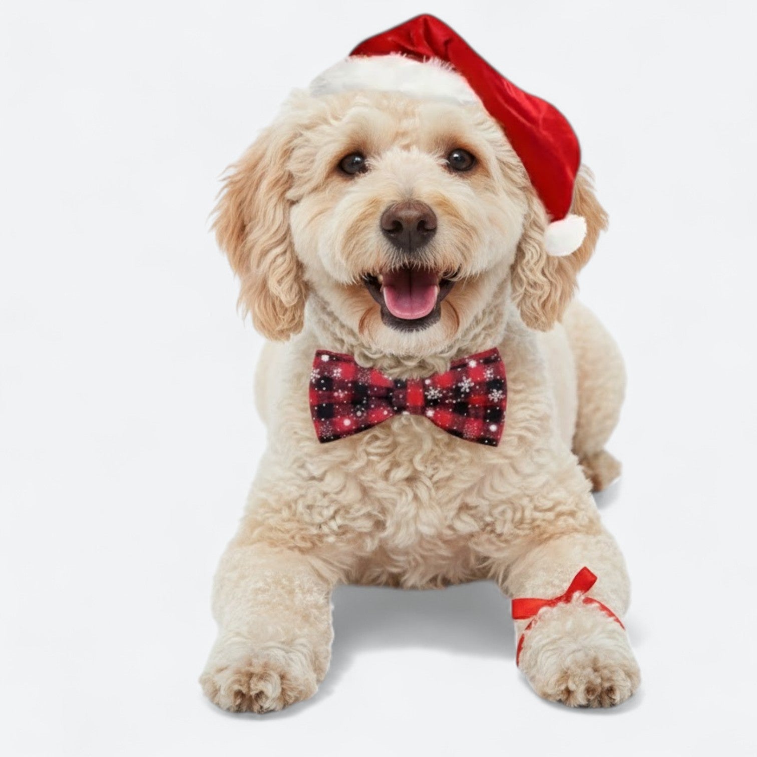 Christmas-Plaid-Dog-Tie-Collar.jpg