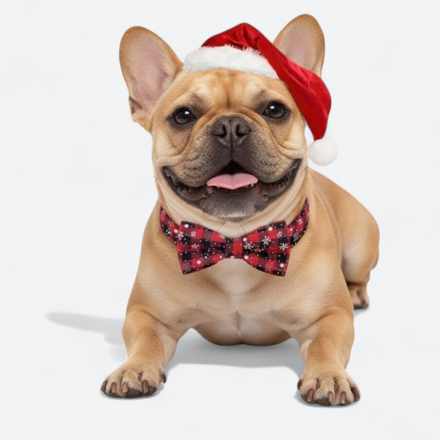 Christmas-Plaid-Dog-Tie-Collar.jpg