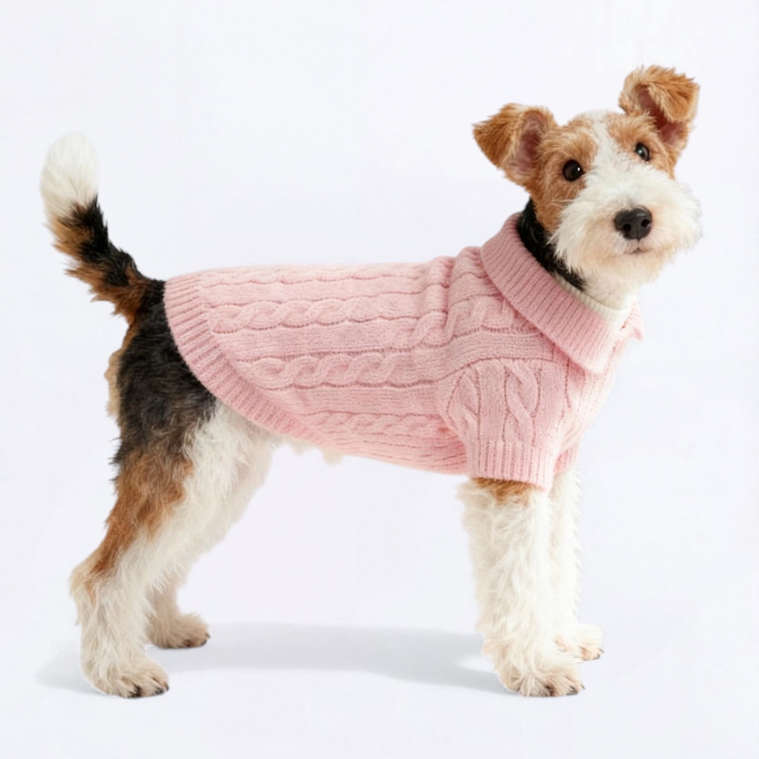 Classic-Cardigan-Dog-Collar-Sweater.jpg