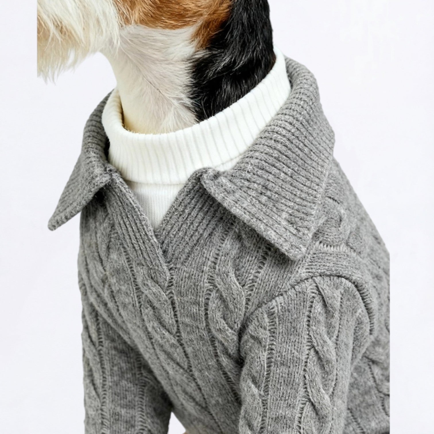 Classic-Cardigan-Dog-Collar-Sweater.jpg