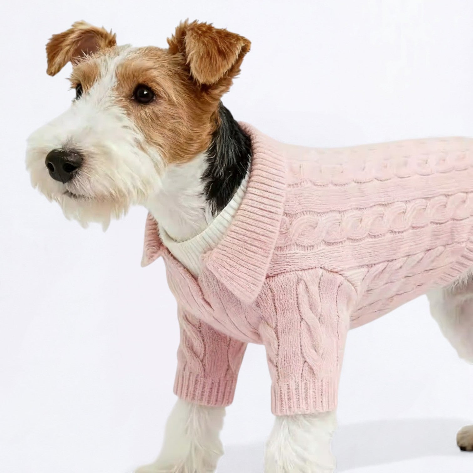 Classic-Cardigan-Dog-Collar-Sweater.jpg