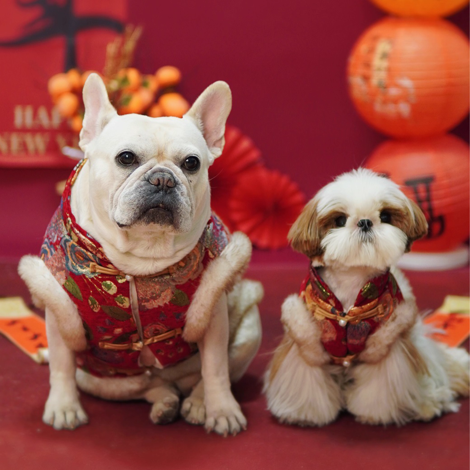 Classic-Traditional-Dog-Vest.jpg