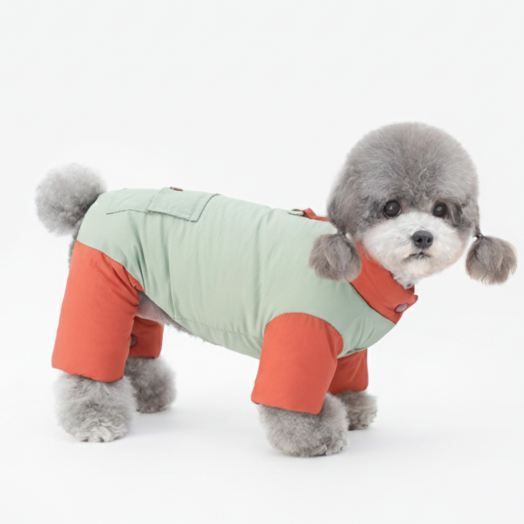Color-Block-Winter-Dog-Coat.jpg