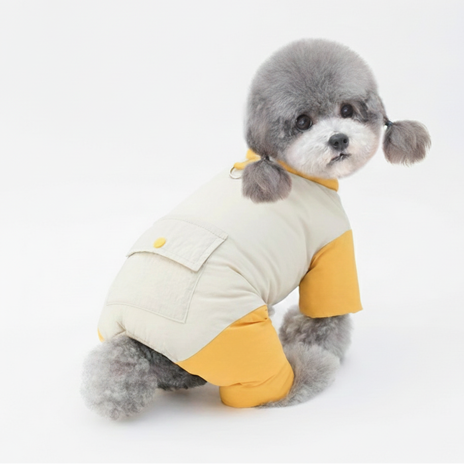 Color-Block-Winter-Dog-Coat.jpg