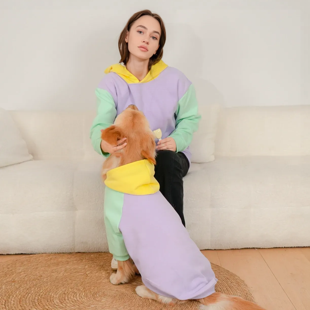 Colorblock Hoodie for Dogs and Owners