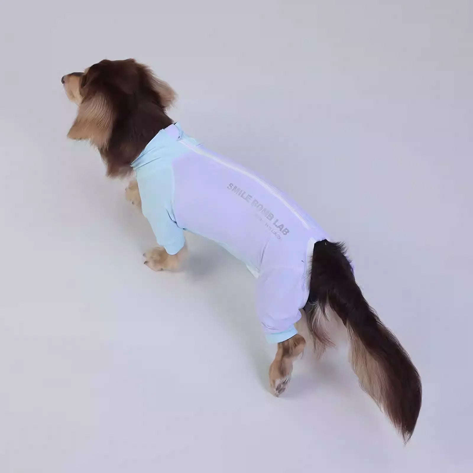 Cool-Insect-Dog-Pajamas.jpg