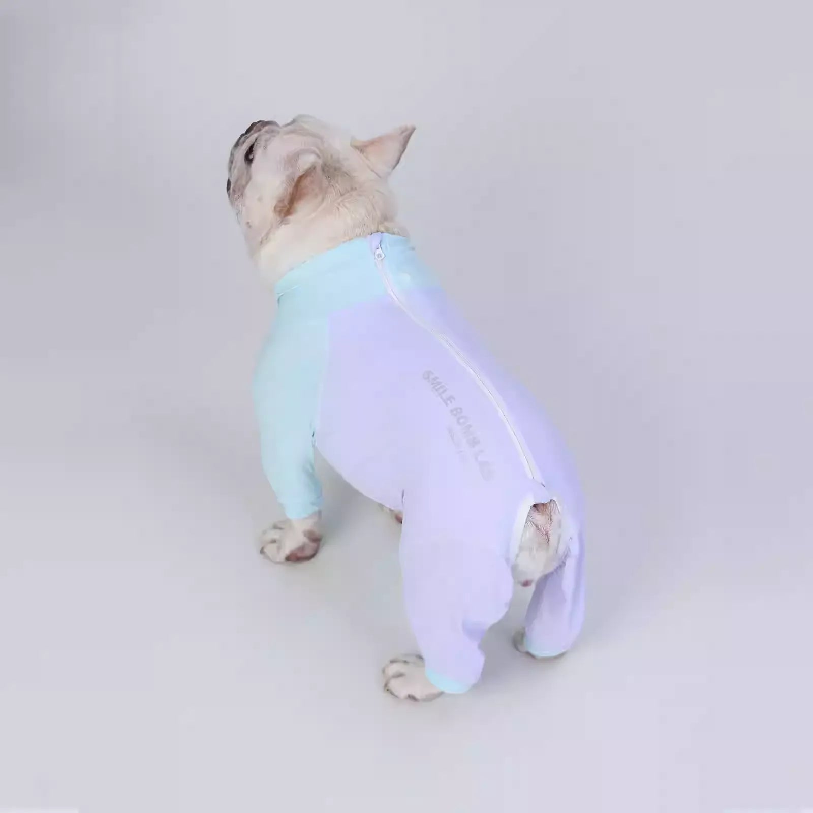 Cool-Insect-Dog-Pajamas.jpg