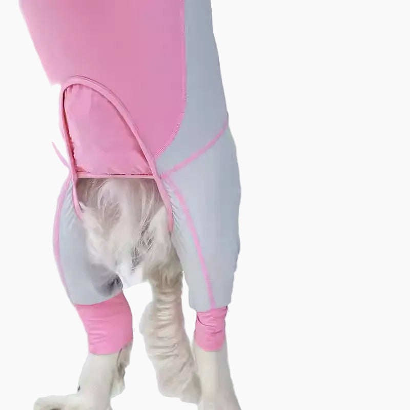 Cool-Insect-Dog-Pajamas.jpg