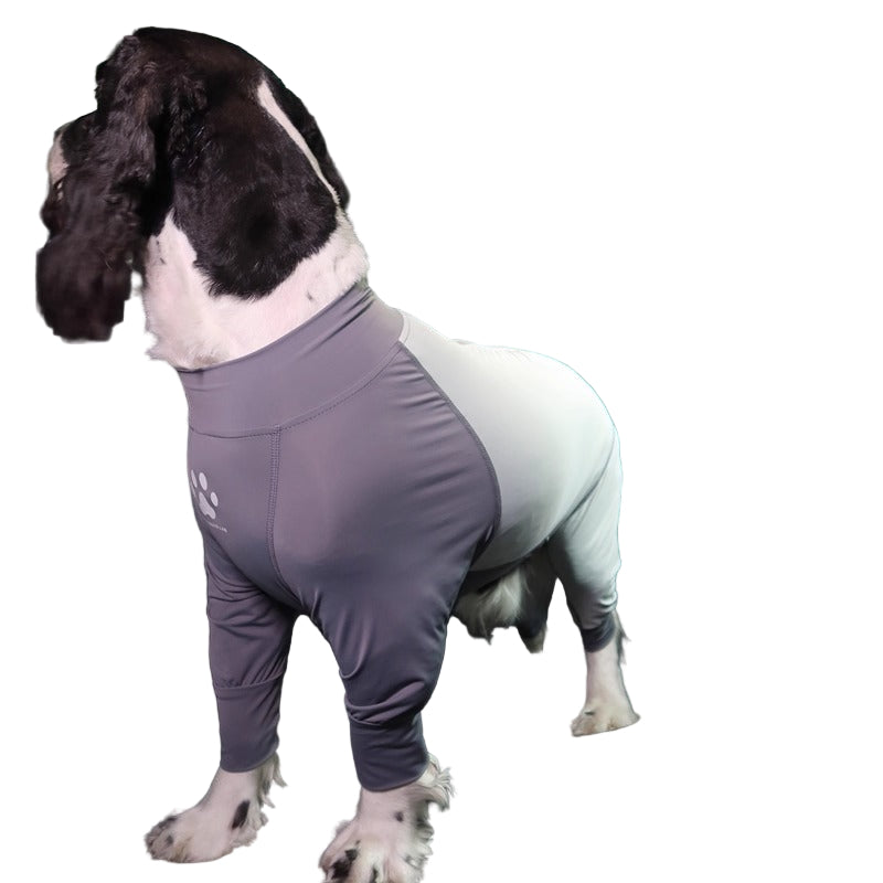 Cooling-Insect-Dog-Protective-Suit.jpg