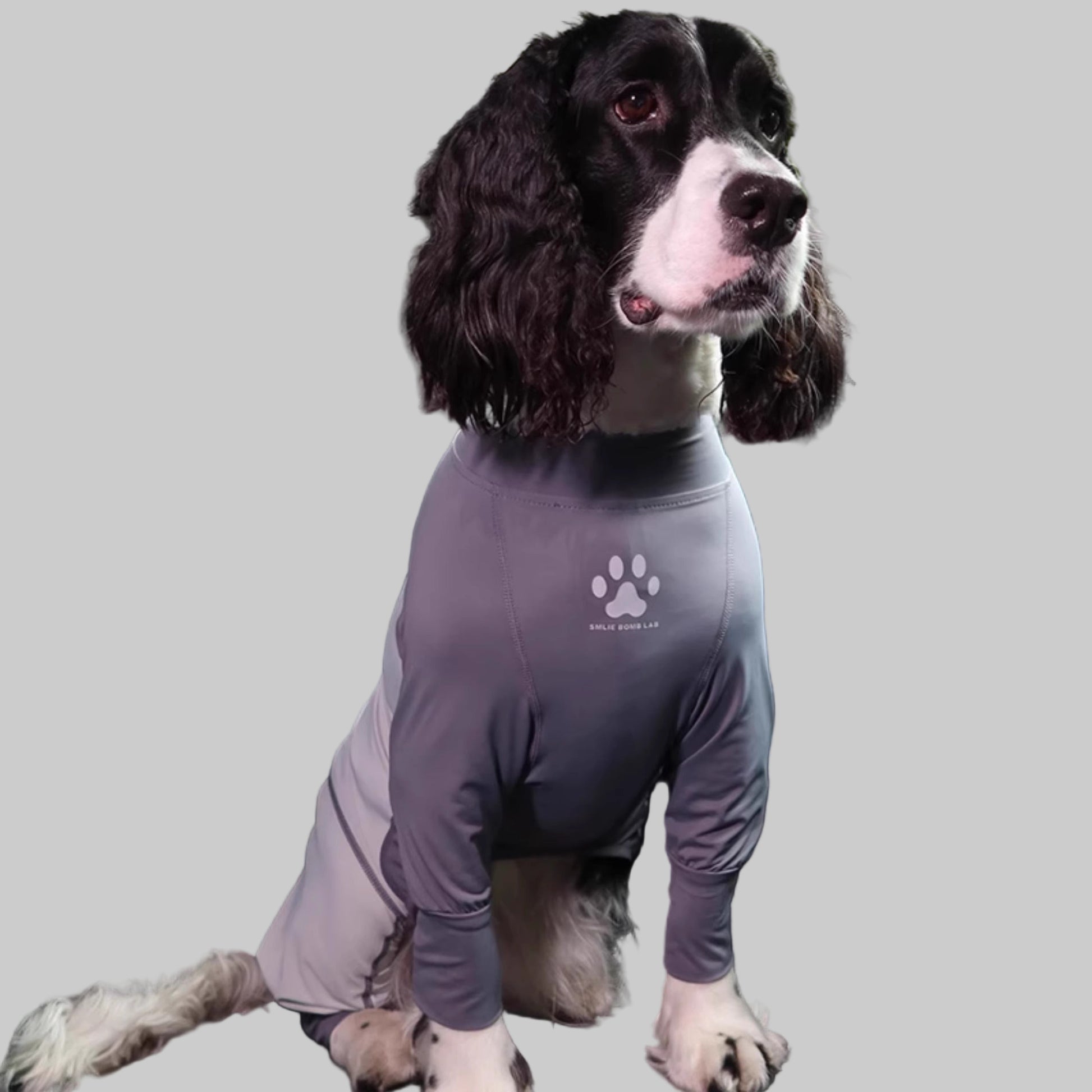 Cooling-Insect-Dog-Protective-Suit.jpg
