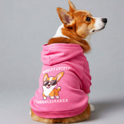 Corgi wearing a 'World's Cutest Troublemaker' hoodie