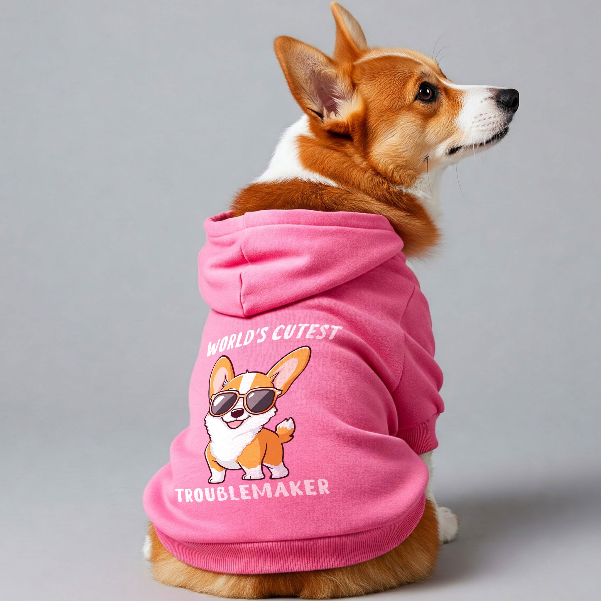 Corgi 'World’s Cutest Troublemaker' hoodie
