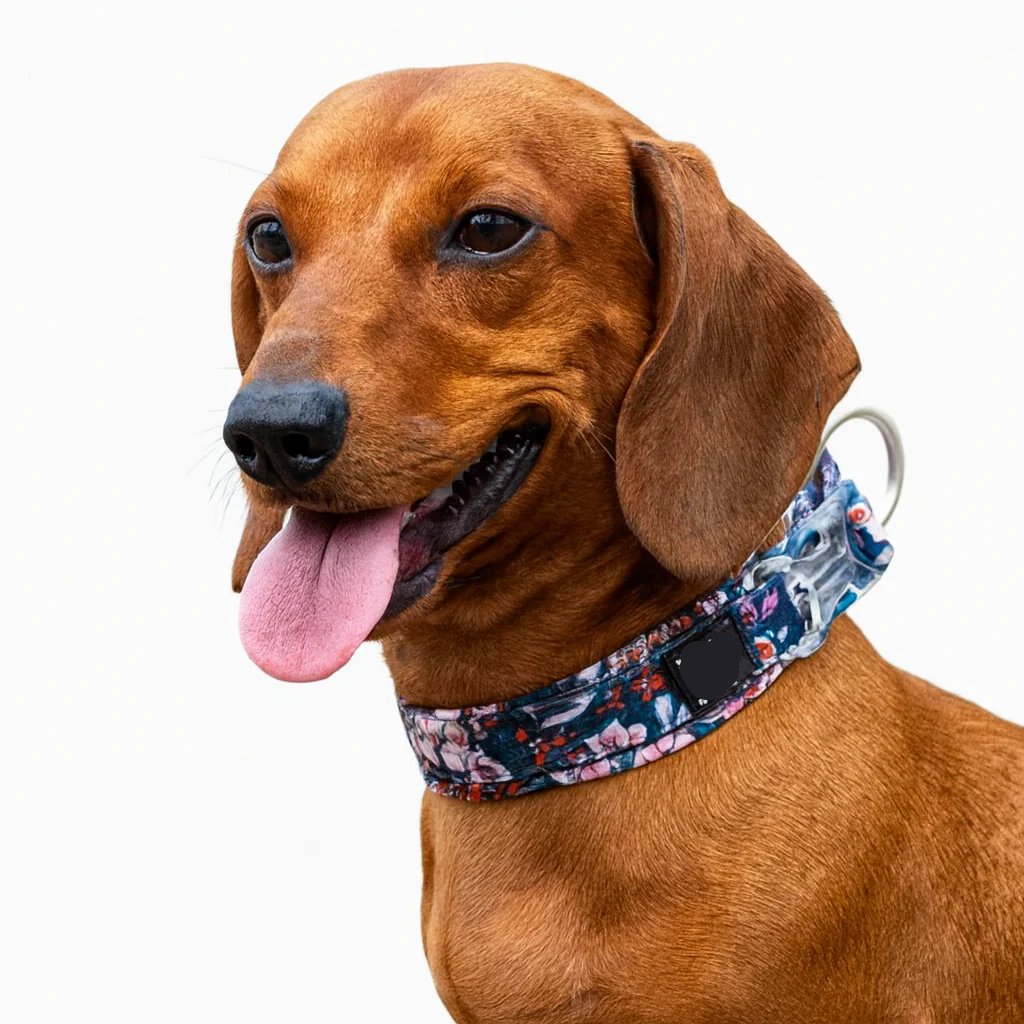 Cotton-Padded-Dog-Floral-Collar.jpg