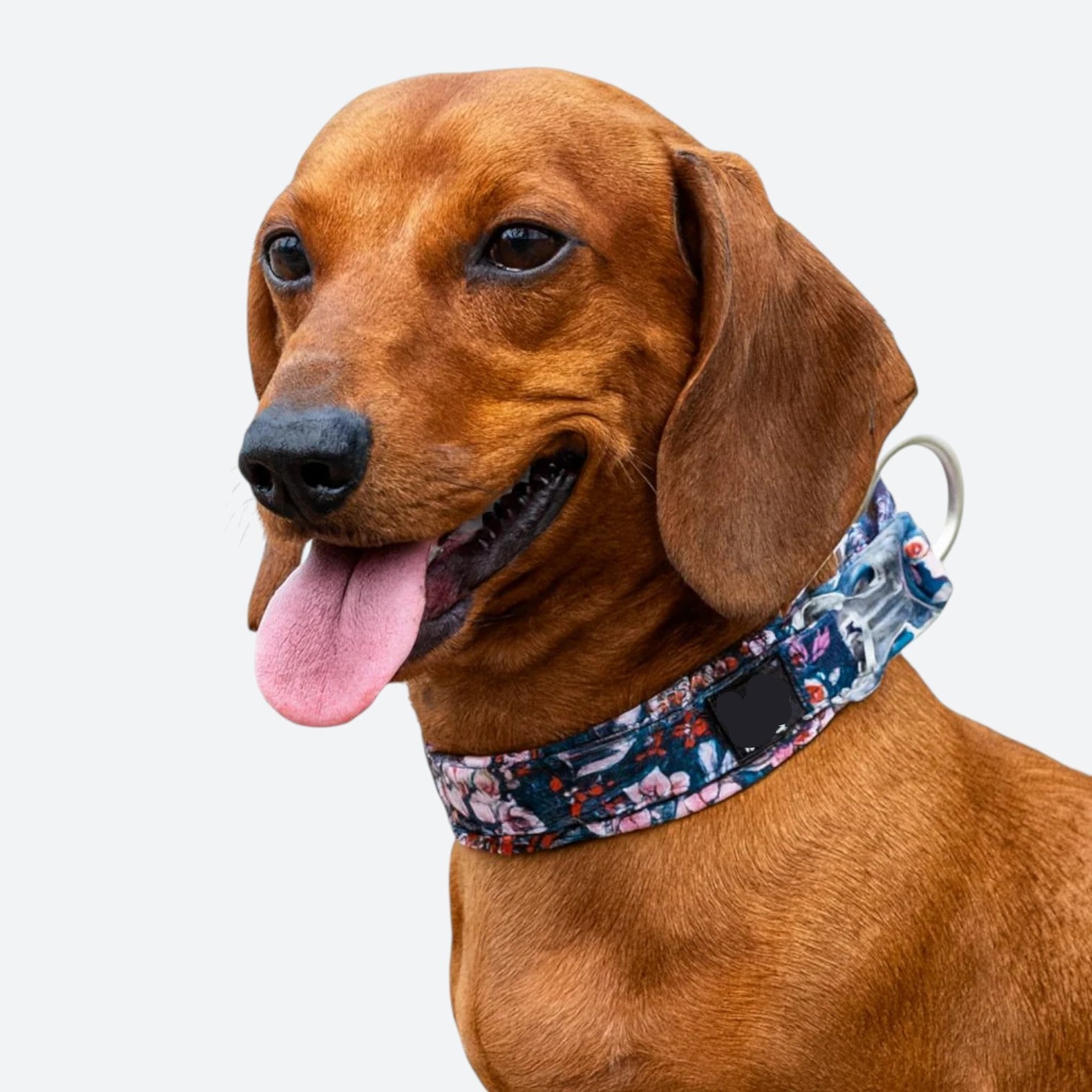 Cotton-Padded-Dog-Floral-Collar.jpg
