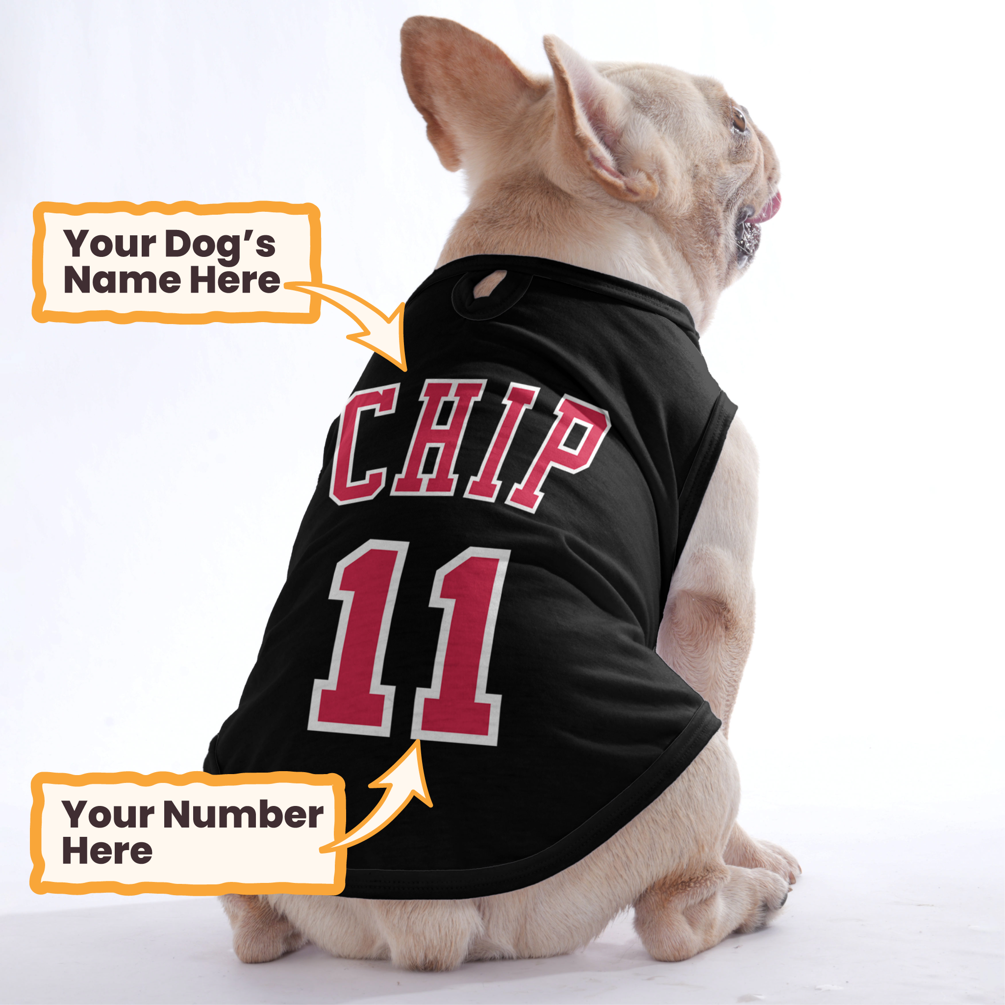 Basketball player – Personalized Shirt with Your Dog’s Name and Number – Dog Shirt