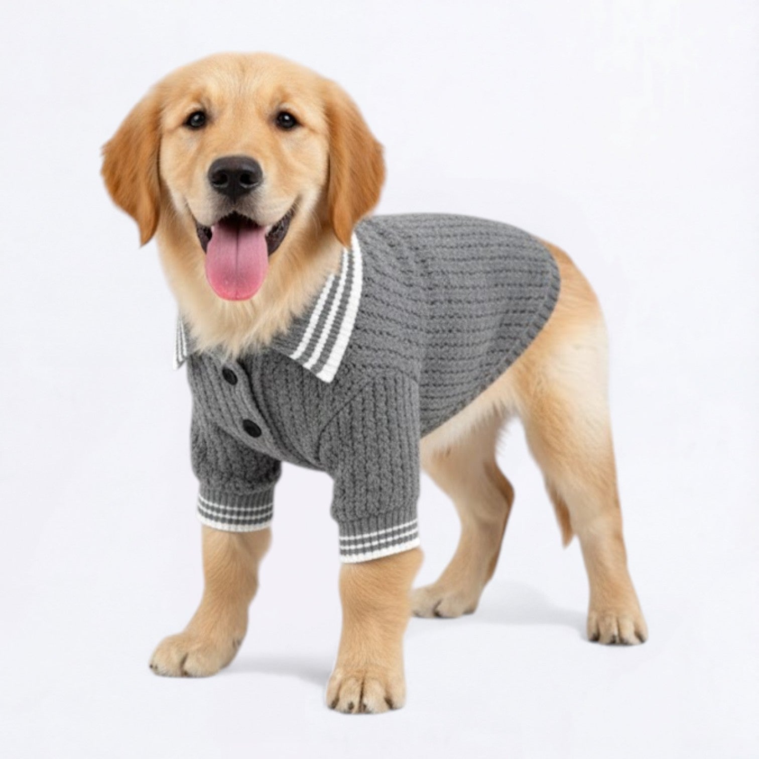 Cozy-Knit-Dog-Polo-Sweater.jpg