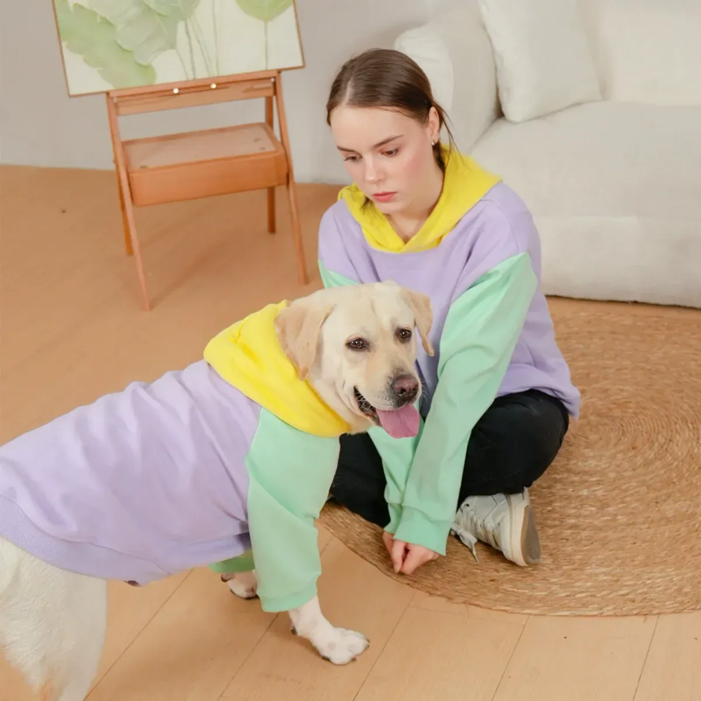 Cozy Pastel Block Matching hoodie