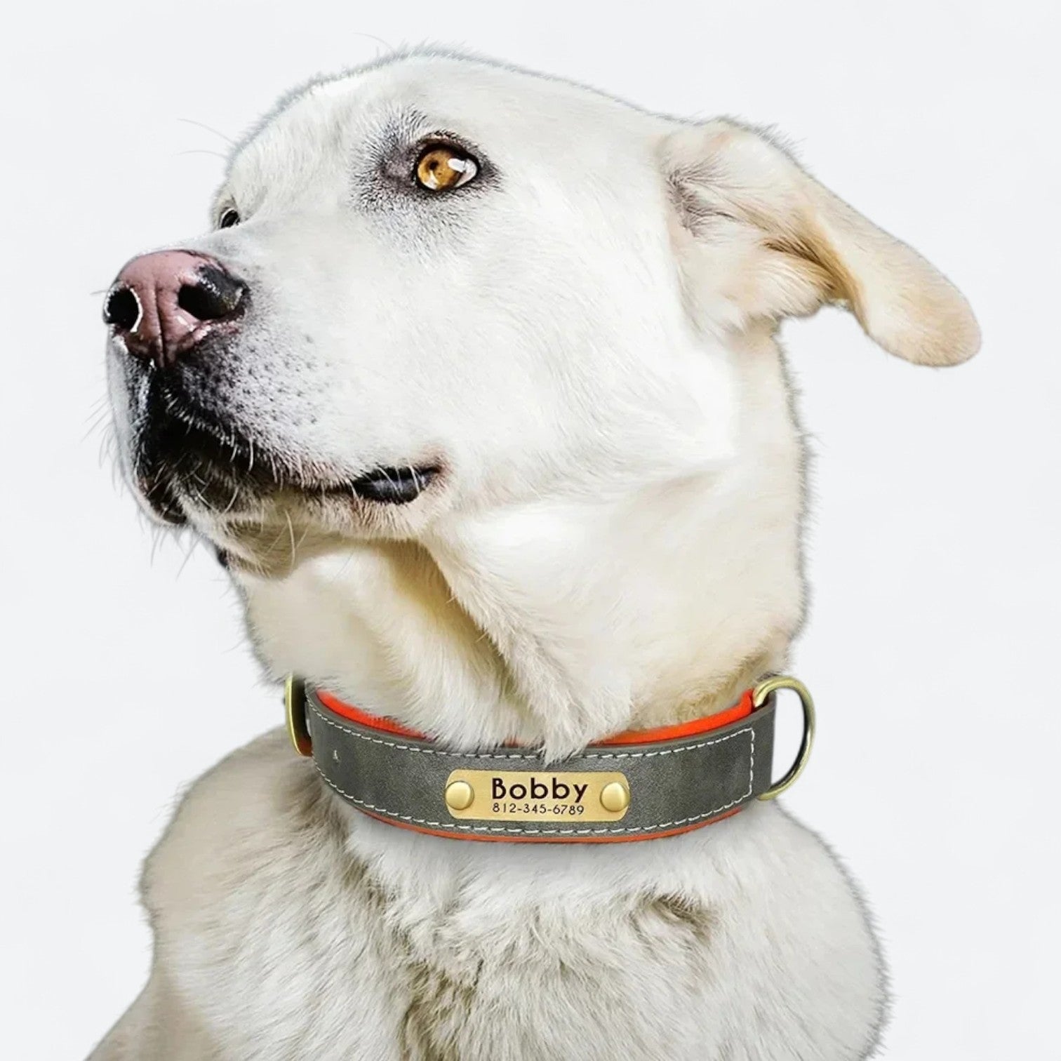 Custom-Soft-Leather-Dog-Collar.jpg