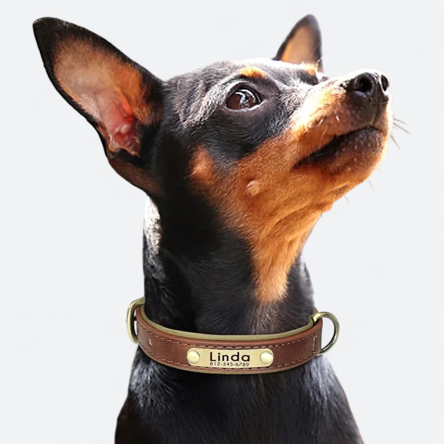 Custom-Soft-Leather-Dog-Collar.jpg
