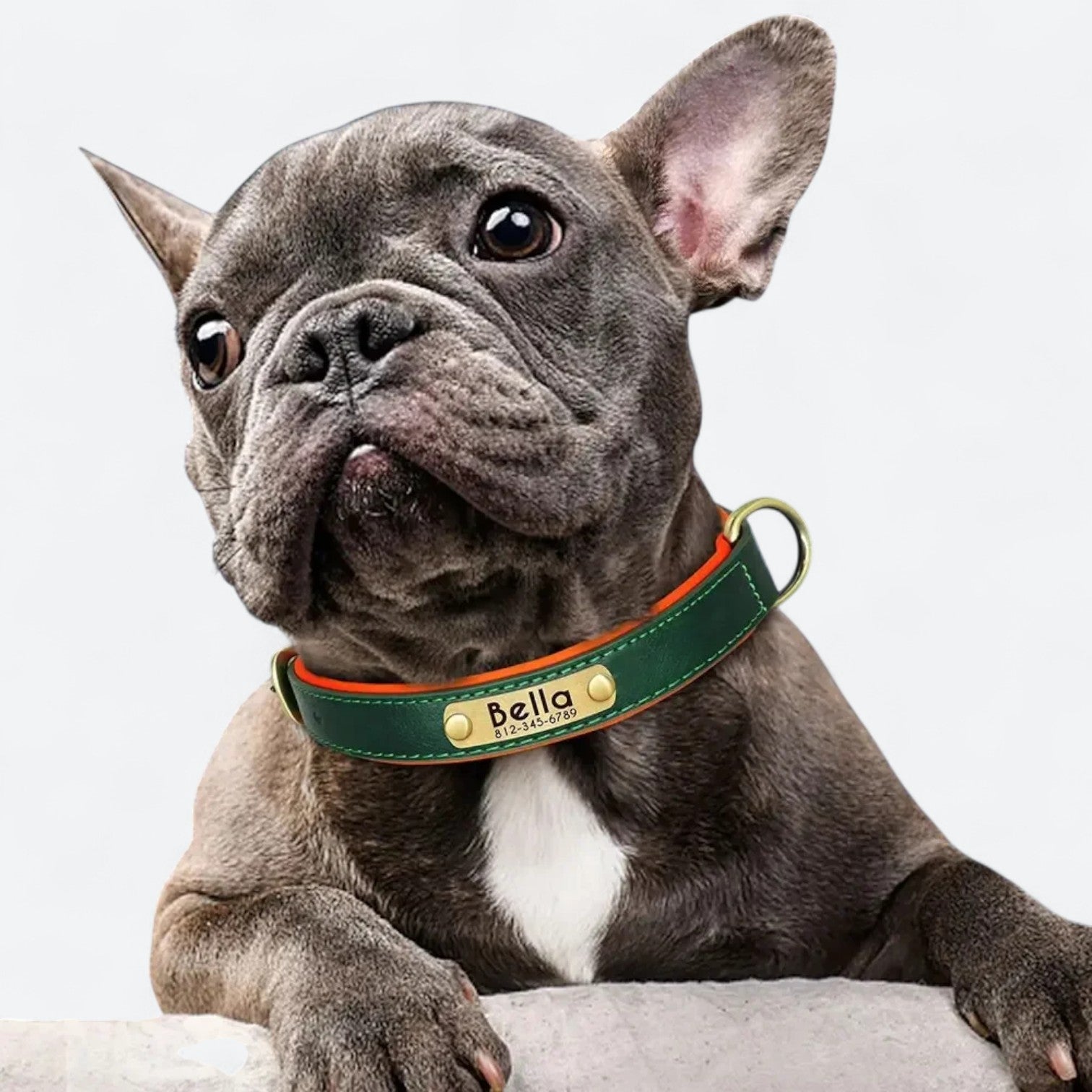 Custom-Soft-Leather-Dog-Collar.jpg