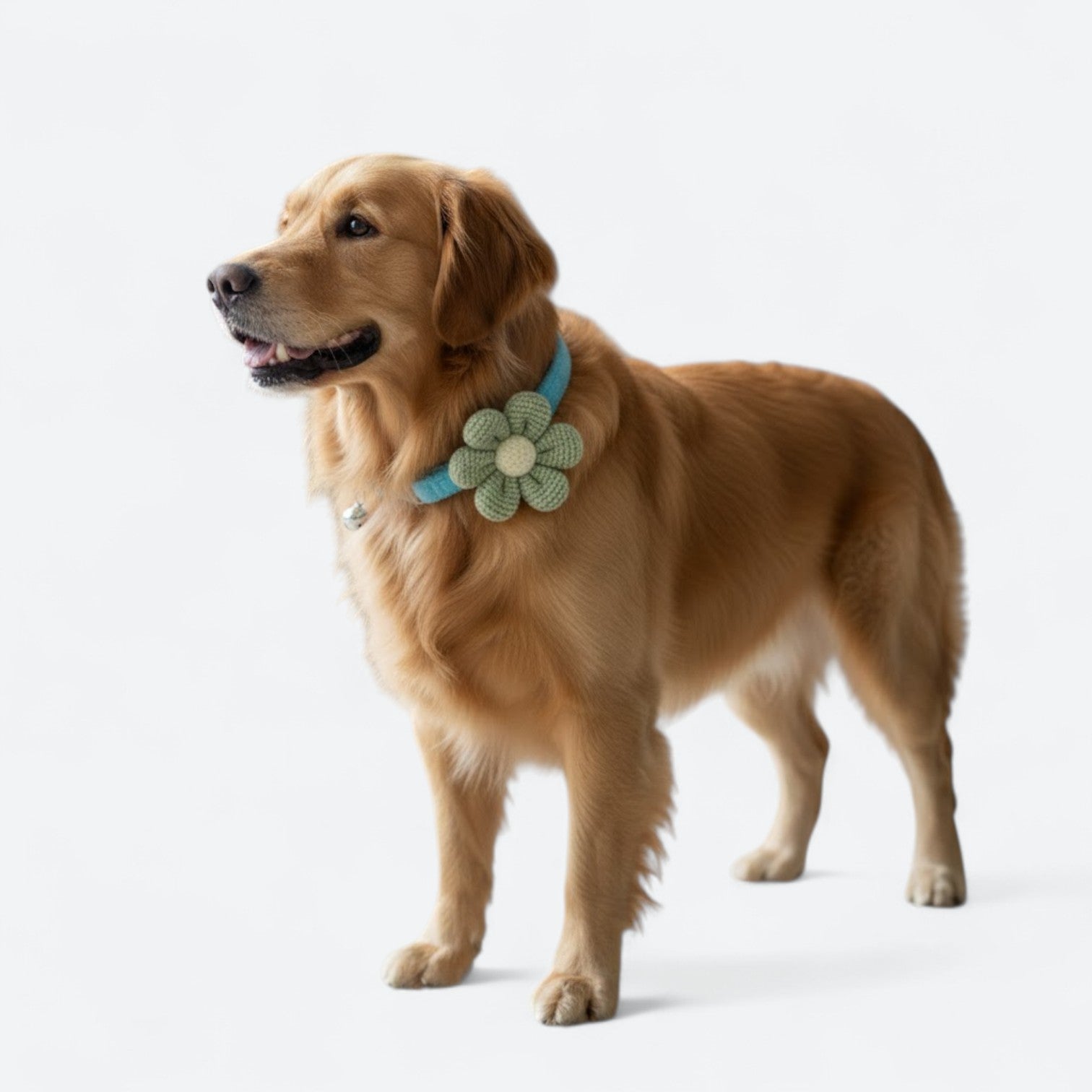 Cute-Flower-Dog-Collar-with-Bell.jpg