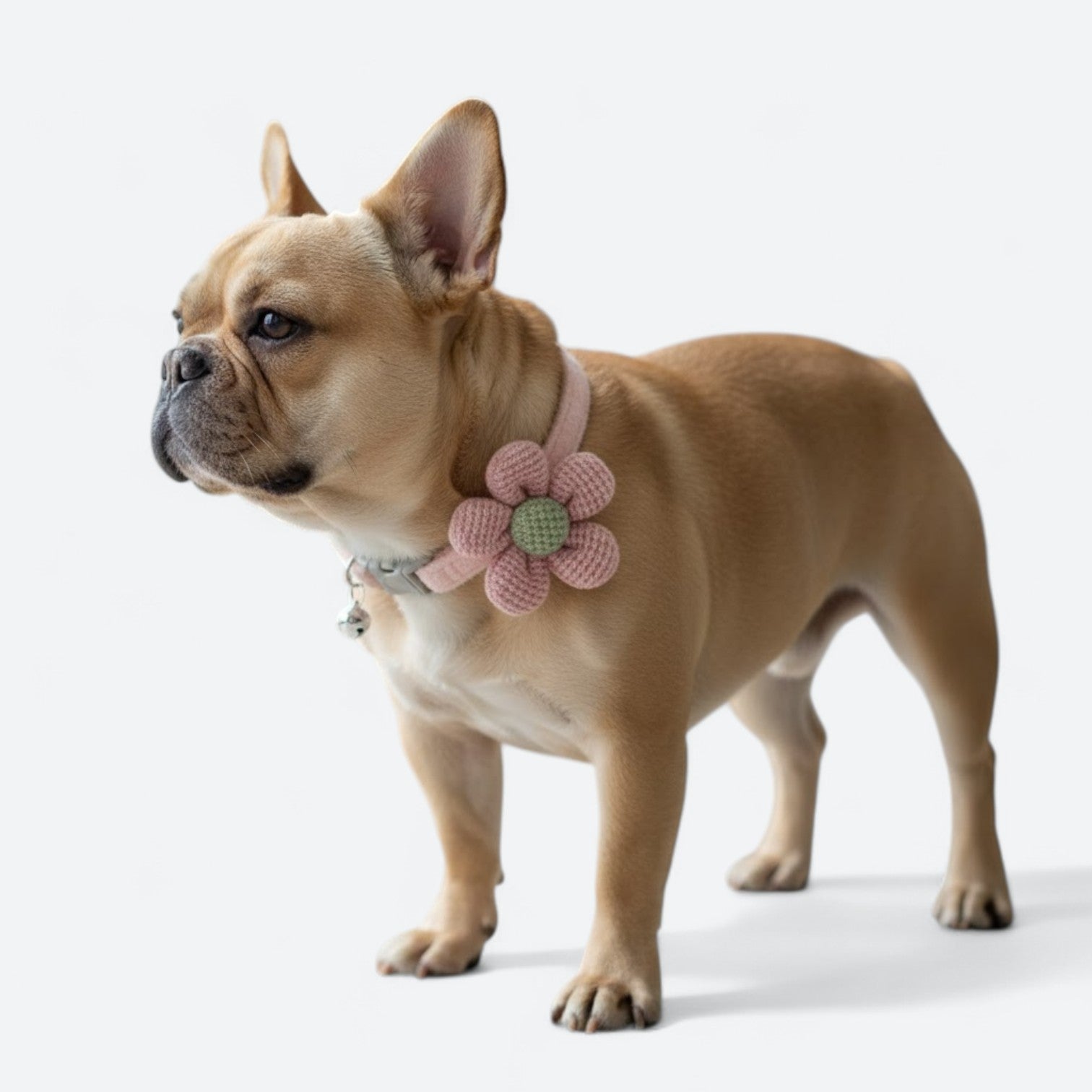 Cute-Flower-Dog-Collar-with-Bell.jpg
