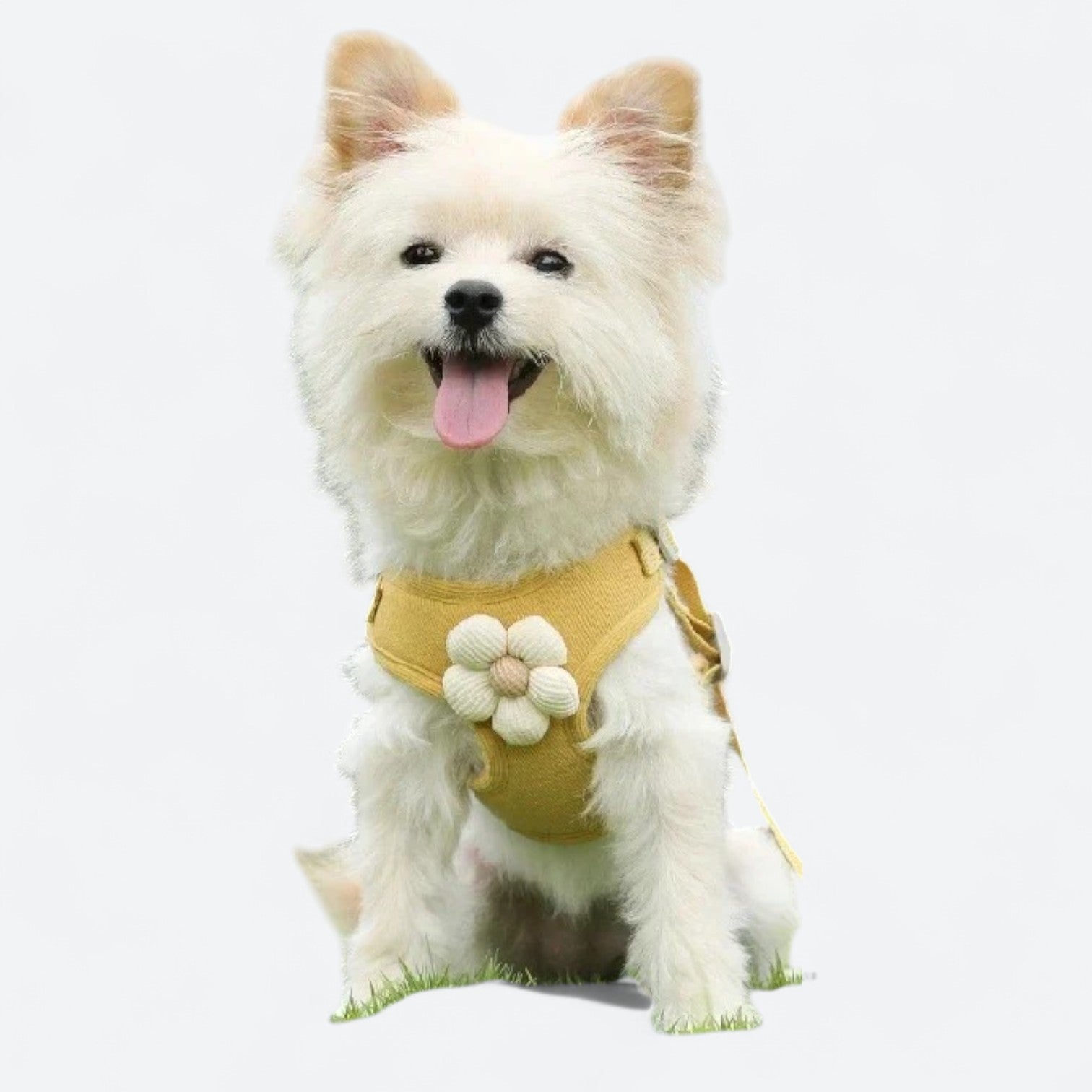 Cute-Flower-Dog-Harness-Leash-Set.jpg