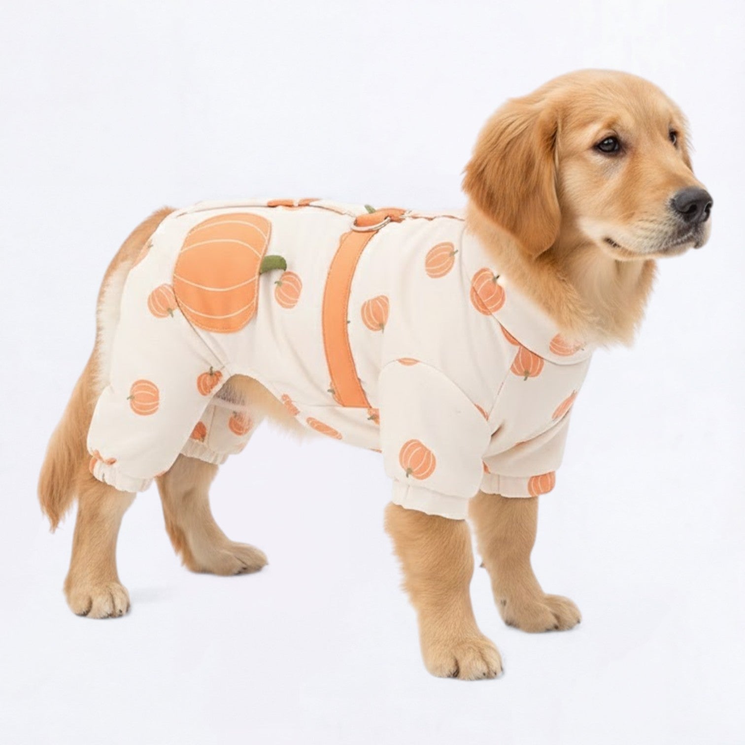 Cute-Fruit-Print-Dog-Jacket.jpg