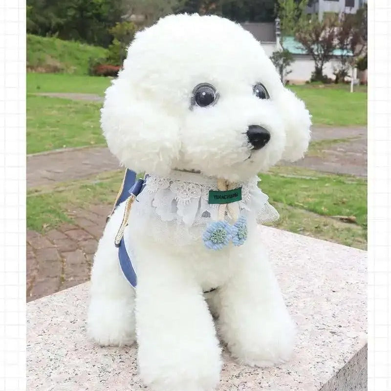 Cute-Lace-Floral-Dog-Harness-Leash-Set.jpg