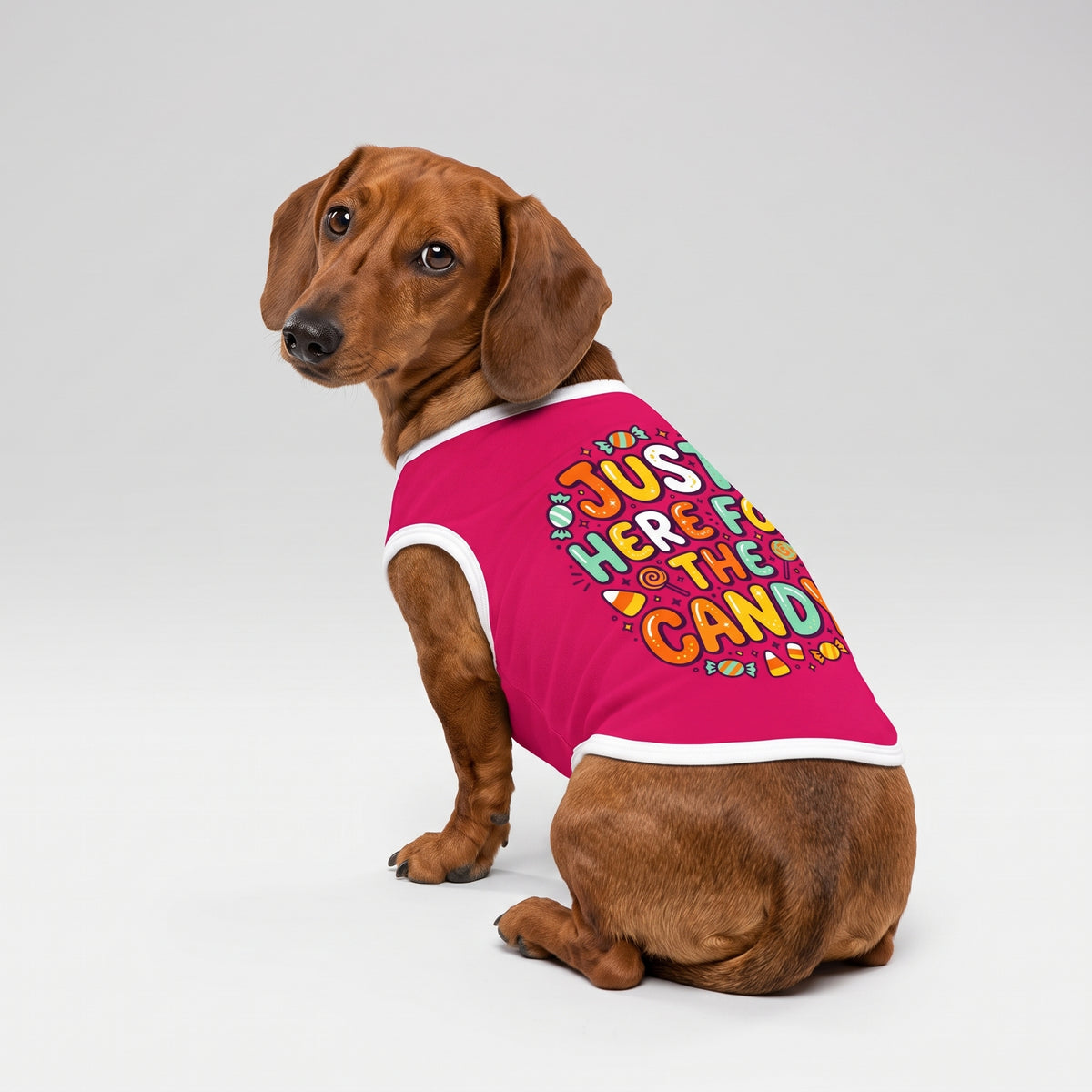 Just Here for the Candy Small Dog Shirt