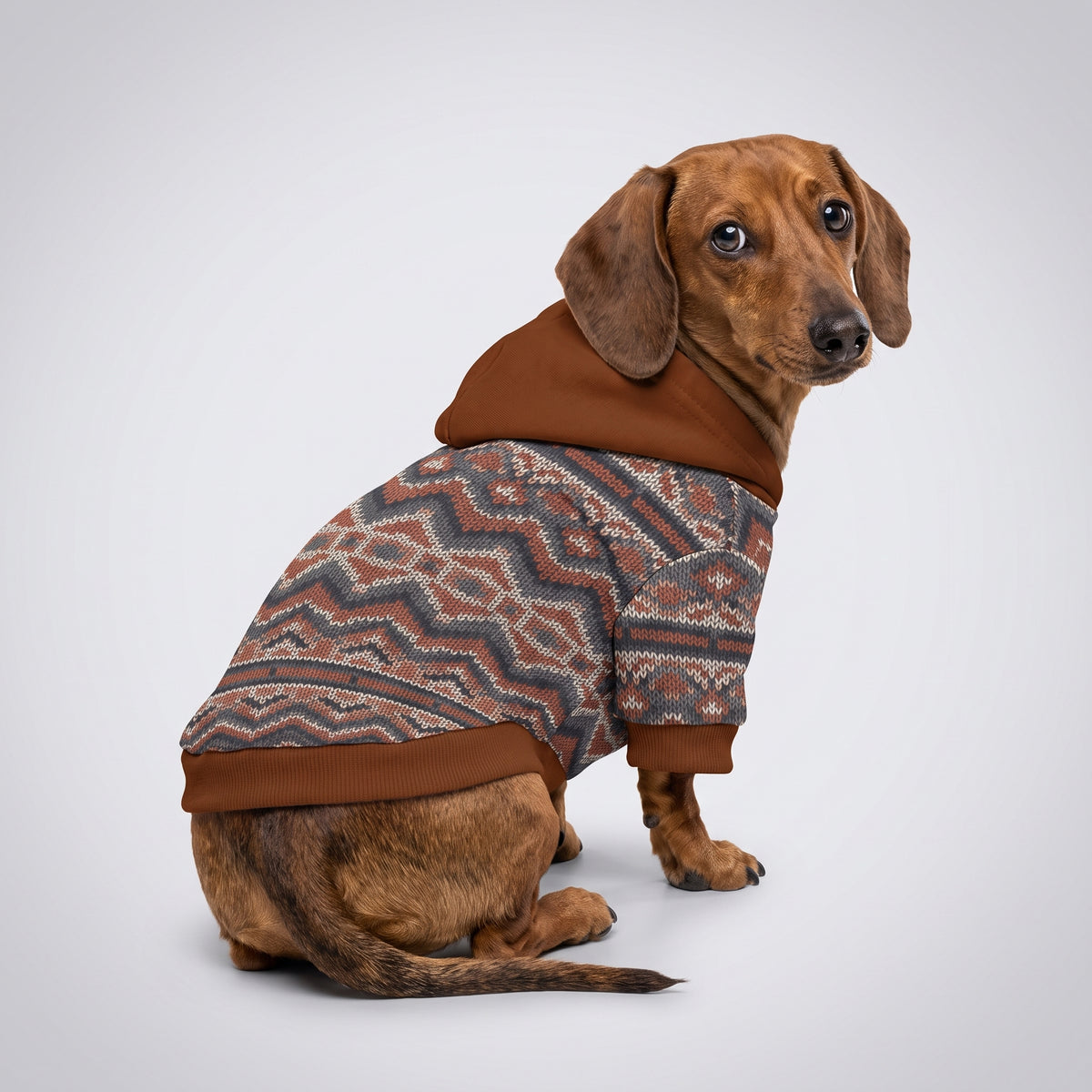 Rustic Nordic Knit Matching Dog Hoodie for Small and Big Dogs
