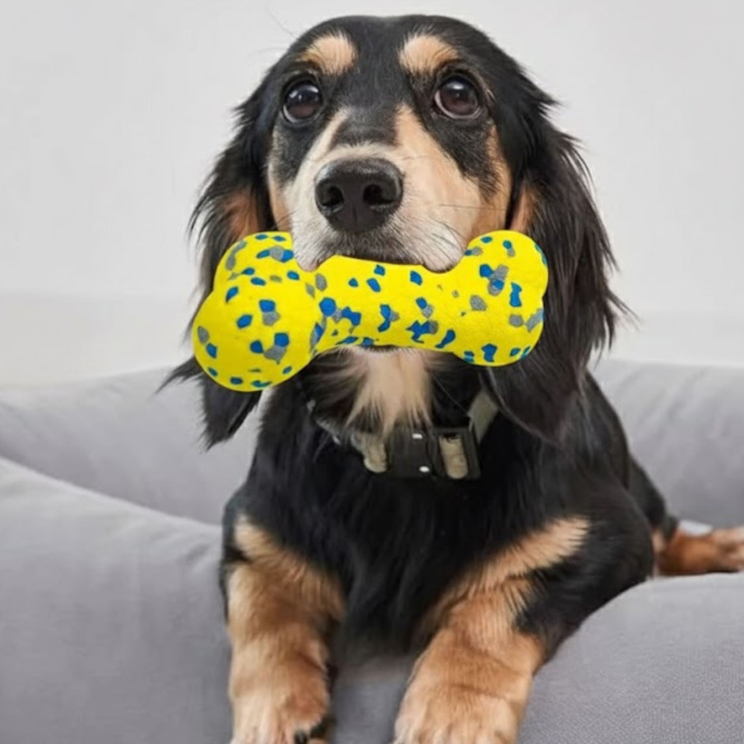 Dental-Cleaning-Dog-Bone-Toy.jpg