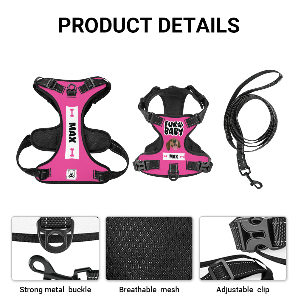 Ajax - Custom Dog harness