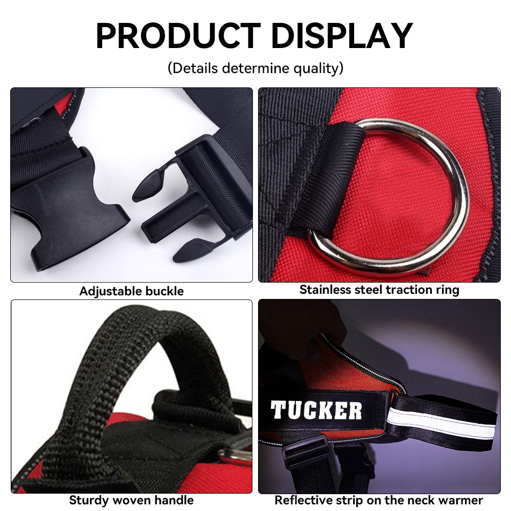 Lilian - Personalized Dog Harness