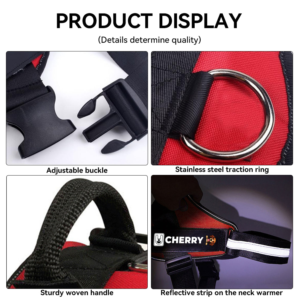 Thad - Personalized Dog Harness