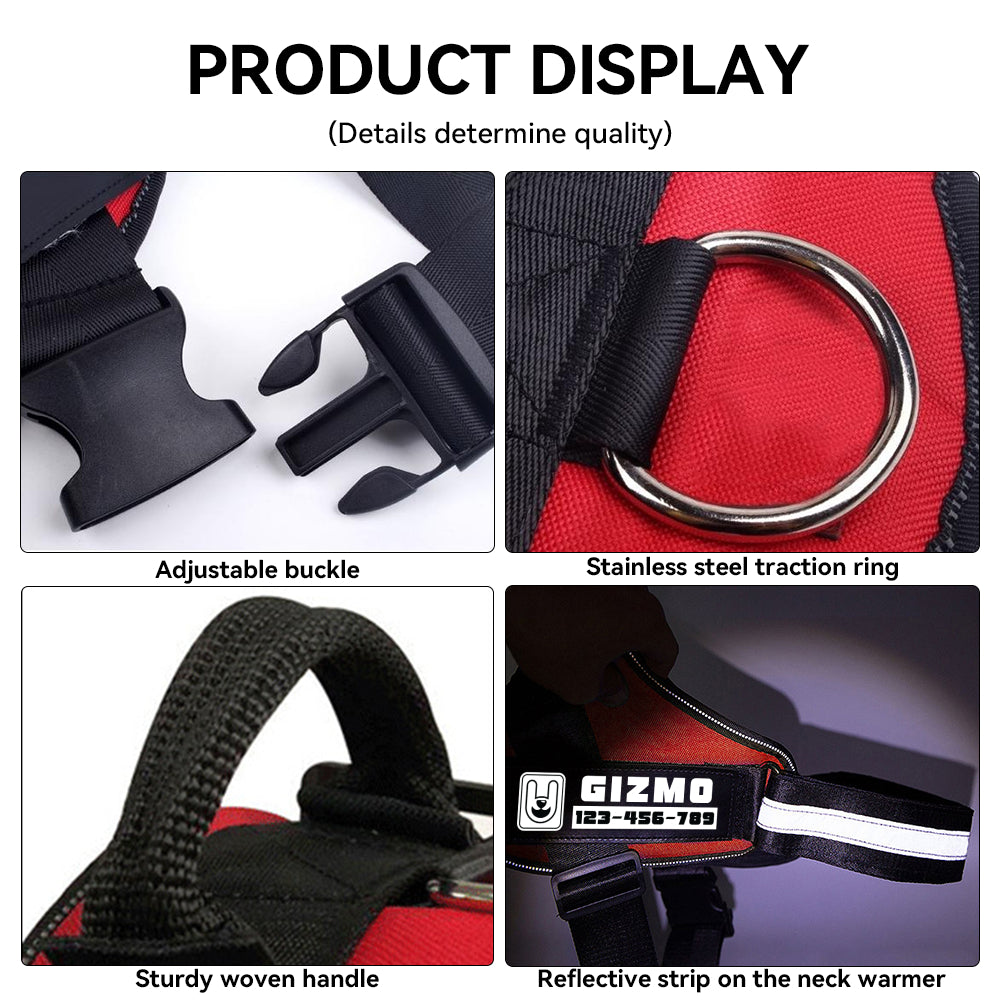 Apollo - Personalized Dog Harness