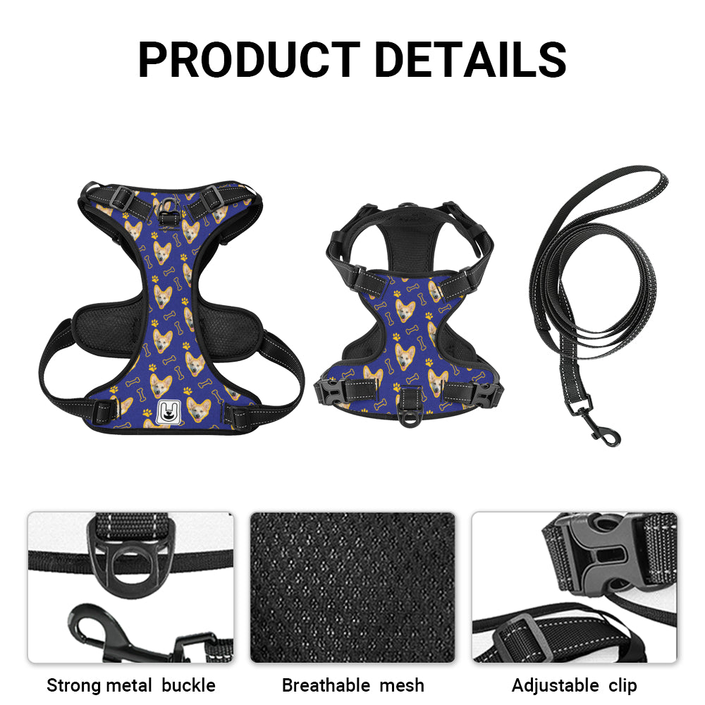 Comet - Custom Dog harness