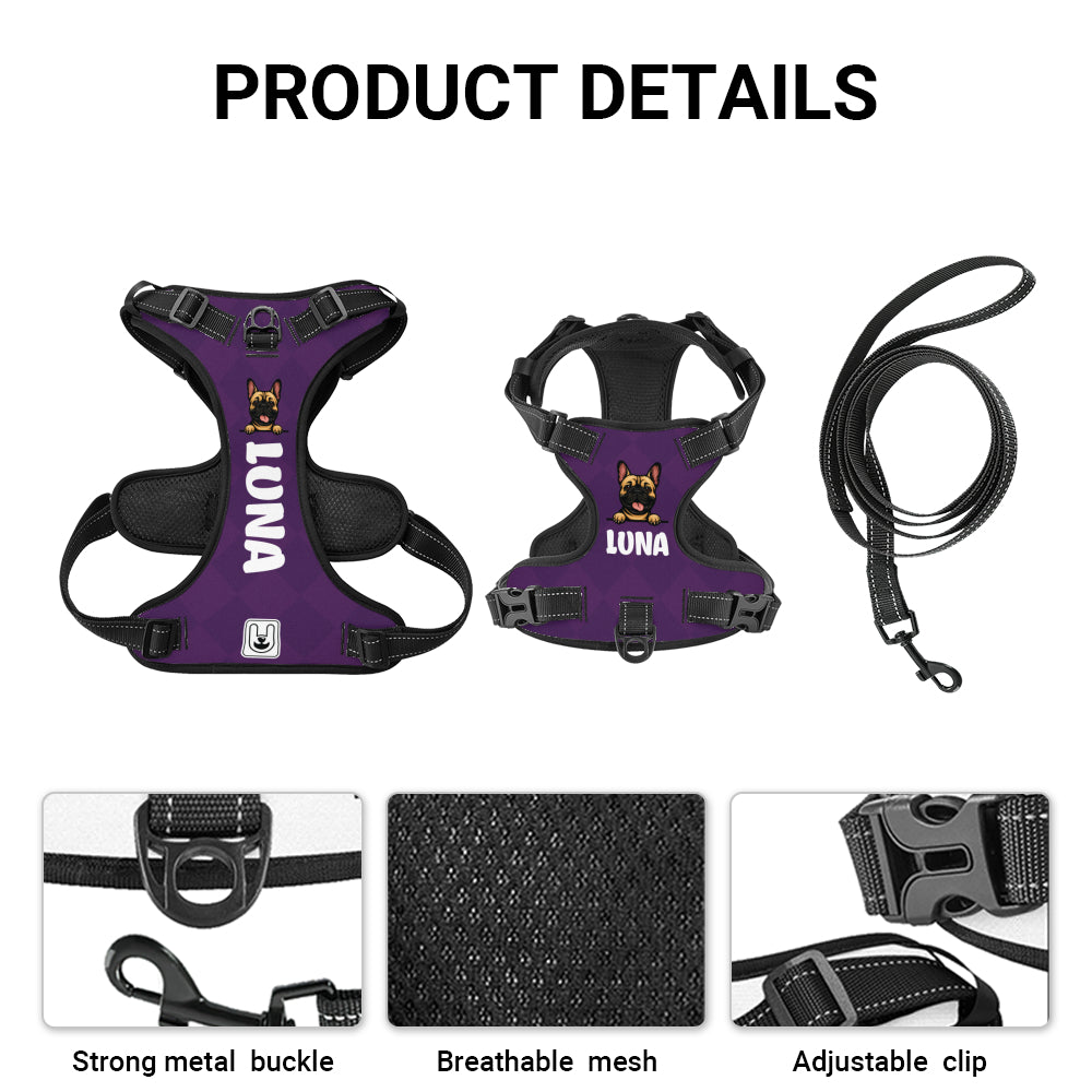 Xander - Custom Dog harness