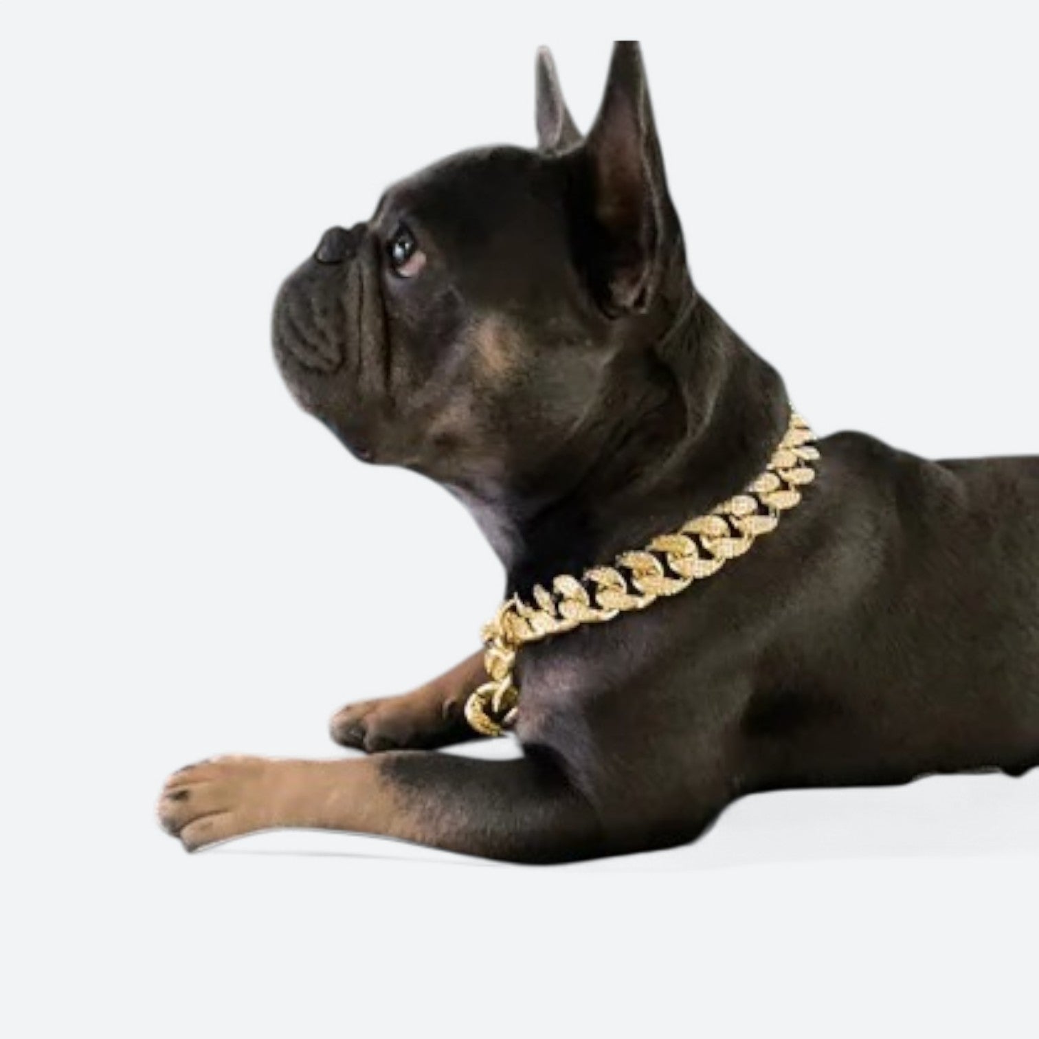 Diamond-Inlay-Dog-Collar-Necklace.jpg