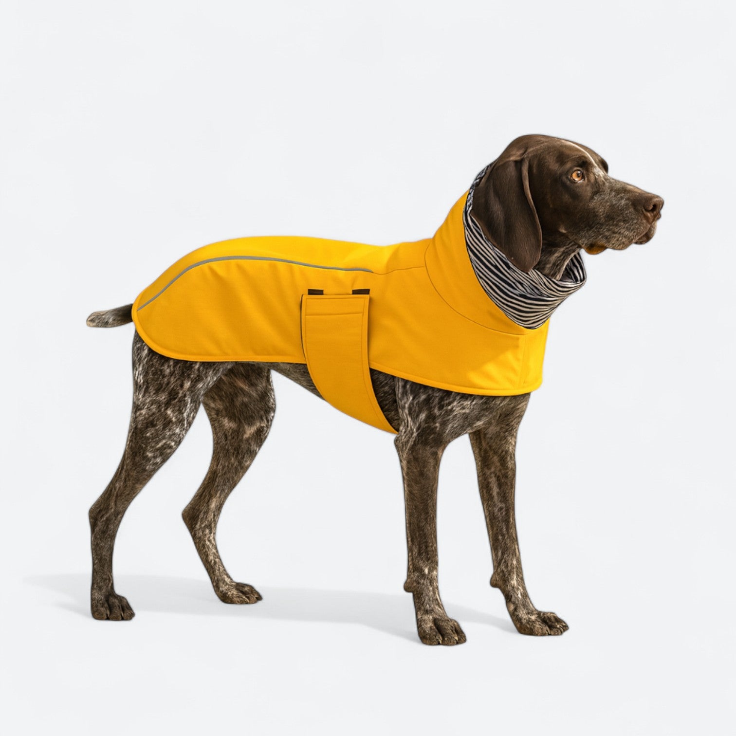 Reflective Winter Dog Jacket