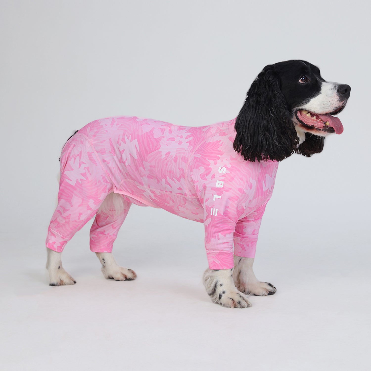 Dog-Sunsuit-Pajamas.jpg