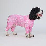 Dog-Sunsuit-Pajamas.jpg