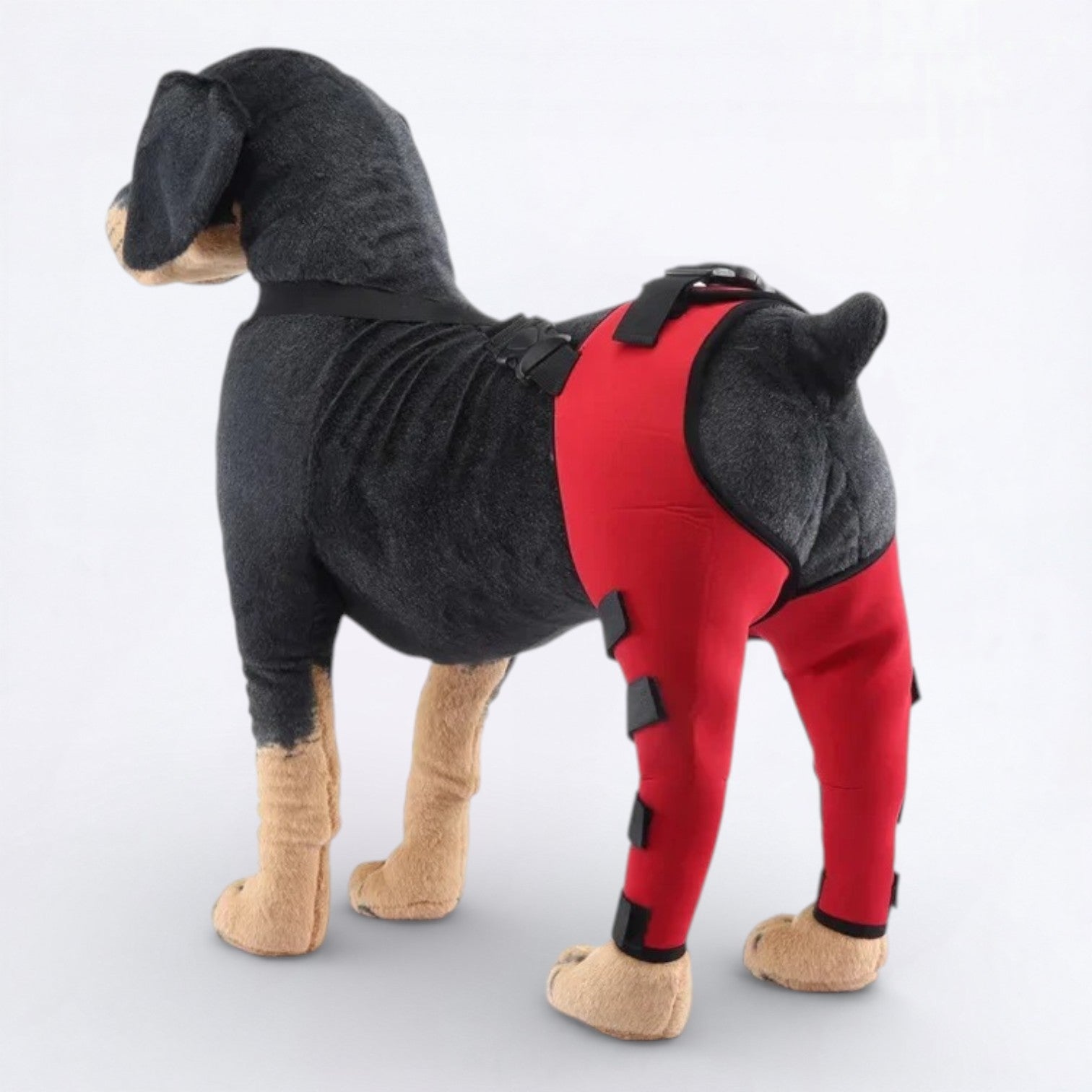 Dog-Back-Leg Support-Brace-Knee-Pads.jpg